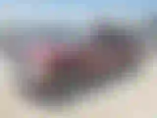 Vehicle Image- 2006 GMC Sierra