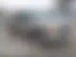 Vehicle Image- 2001 GMC Sierra