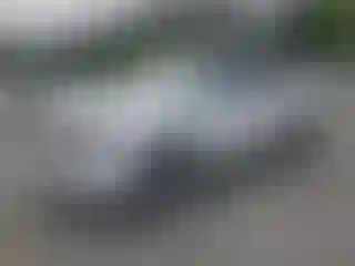 Vehicle Image- 2008 GMC Sierra