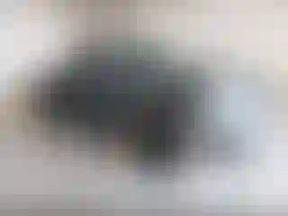 Vehicle Image- 2007 GMC Sierra
