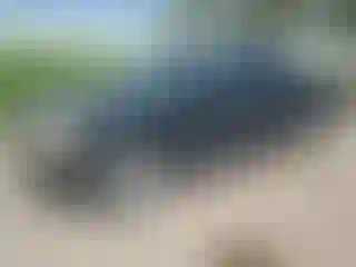 Vehicle Image- 2004 GMC Sierra