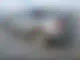 IMPORTOWO.pl
