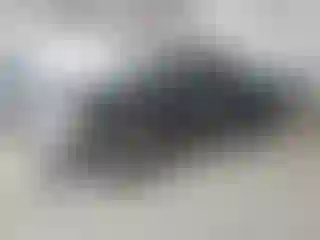 Vehicle Image- 2007 GMC Sierra