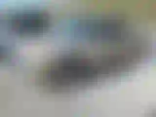 Vehicle Image- 2005 GMC Sierra
