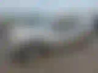 Vehicle Image- 2005 GMC Sierra