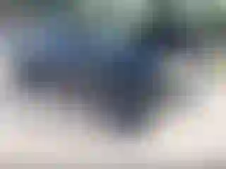 Vehicle Image- 2008 GMC Sierra