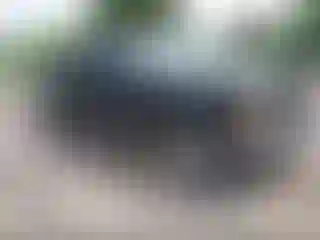 Vehicle Image- 1996 GMC Sierra