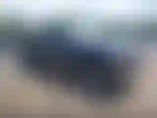 Vehicle Image- 1998 GMC Sierra