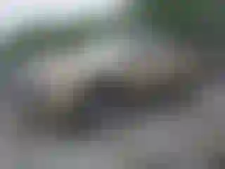 Vehicle Image- 2004 GMC Sierra