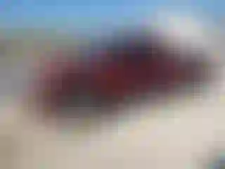 Vehicle Image- 2004 GMC Sierra
