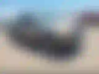 Vehicle Image- 2001 GMC Sierra