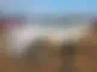 Vehicle Image- 2019 GMC Sierra