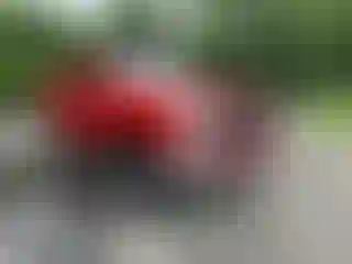 Vehicle Image- 2019 GMC Sierra
