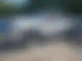 Vehicle Image- 2019 GMC Sierra
