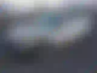 Vehicle Image- 1991 Honda Civic