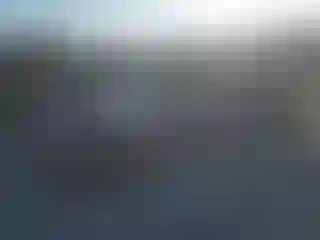 Vehicle Image- 1989 Honda Civic