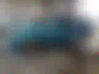 Vehicle Image- 1991 Honda Civic