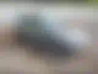 Vehicle Image- 1994 Honda Civic