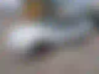 Vehicle Image- 1993 Honda Civic