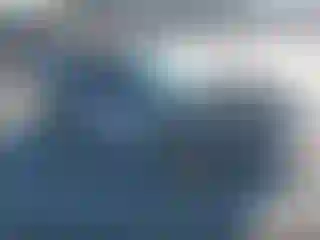 Vehicle Image- 1994 Honda Civic