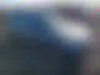 Vehicle Image- 1995 Honda Civic