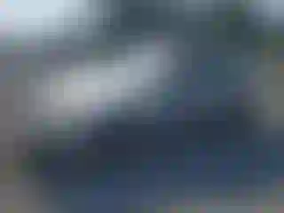 Vehicle Image- 1998 Honda Civic