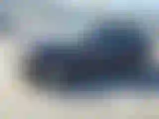 Vehicle Image- 1998 Honda Civic