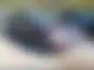 Vehicle Image- 1996 Honda Civic