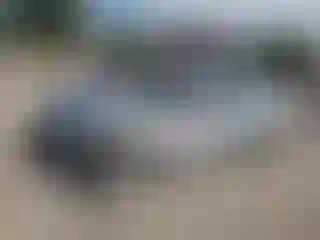 Vehicle Image- 1999 Honda Civic