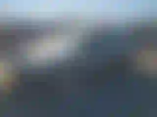 Vehicle Image- 1996 Honda Civic