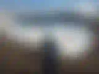 Vehicle Image- 1998 Honda Civic