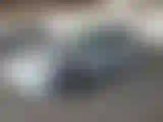 Vehicle Image- 1999 Honda Civic