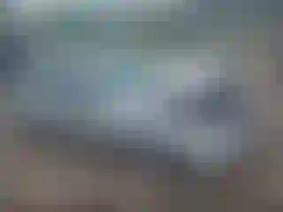 Vehicle Image- 2000 Honda Civic