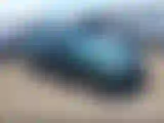Vehicle Image- 1999 Honda Civic