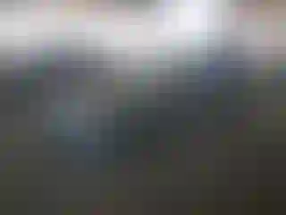 Vehicle Image- 2000 Honda Civic