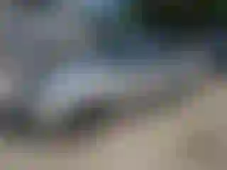 Vehicle Image- 2000 Honda Civic