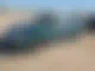 Vehicle Image- 2000 Honda Civic