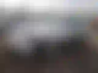 Vehicle Image- 1999 Honda Civic