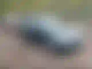 Vehicle Image- 1999 Honda Civic