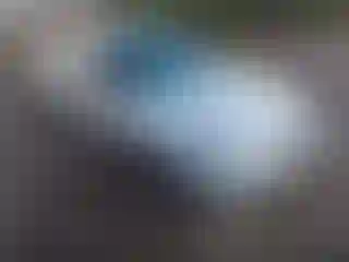 Vehicle Image- 1999 Honda Civic