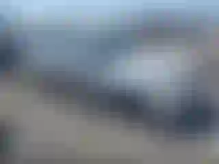 Vehicle Image- 2000 Honda Civic