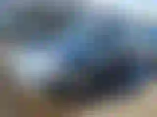 Vehicle Image- 1998 Honda Civic