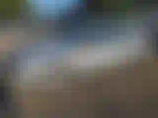 Vehicle Image- 1998 Honda Civic