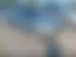 Vehicle Image- 1999 Honda Civic