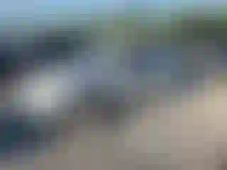 Vehicle Image- 1999 Honda Civic