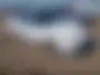 Vehicle Image- 2000 Honda Civic