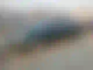 Vehicle Image- 2000 Honda Civic