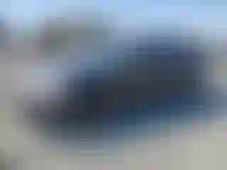 Vehicle Image- 1999 Honda Civic