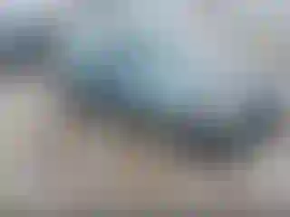 Vehicle Image- 1999 Honda Civic