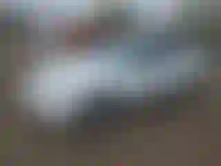 Vehicle Image- 1998 Honda Civic